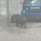 1394626390433