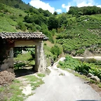 DSCN7808