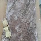 2014-09-02 19.28.51