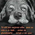 No lo abandones