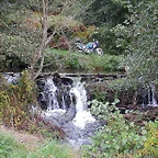 DSCN5356