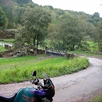 DSCN5353