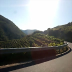 DSCN5807