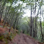 DSCN7200