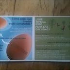 huevos