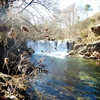 DSCN1519