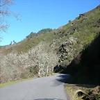 DSCN8030