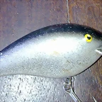 recorte2