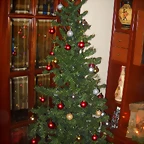 DSCN2333