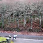DSCN7176