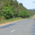 77-IMG_6484