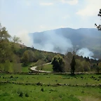 56-IMG_5767