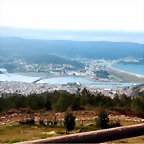 DSCN3173