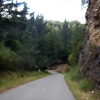 DSCN4082