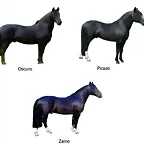 pelajes_de_caballos