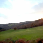 DSCN0623