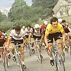 DAULPHINE 1977-HINAULT-VAN IMPE.