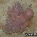 FB_IMG_1539980198854