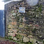 DSCN7337