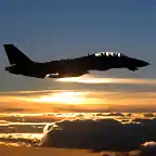 Amanecer y Grumman F-14 Tomcat