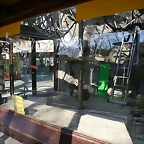 Zoo de Barcelona 09-02-11 006
