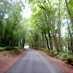 DSCN7774
