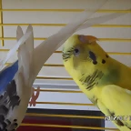 SAM_0161
