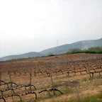 DSCN3532