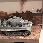 Tiger 1 (35)