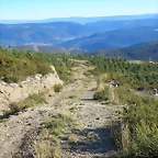 26-IMG_4238