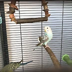 IMG-20180715-WA0017