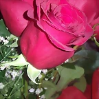 Mar?a twitter 16-11-2016 (2)