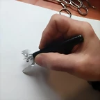 pluma inocentes 5