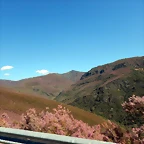 DSCN9444