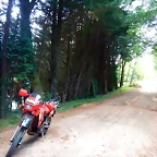 DSCN6353