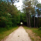 DSCN6352