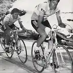 CONTINI,PRIM,GIRO,1982