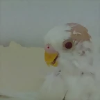 02052011577