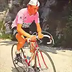 POLLENTIE,GIRO 1977