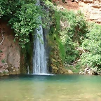 DSC02919