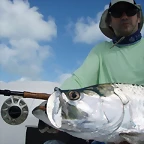 Roques 2011 - tarpon3