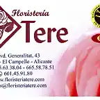 floristeria tere mejorada