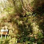 DSCN4343