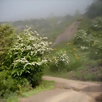DSCN8086