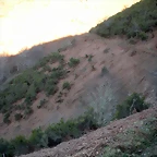 DSCN3013