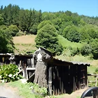 DSCN7746