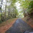 DSCN8746