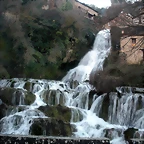 DSCN1995