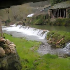 DSCN2880