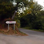 DSCN8991